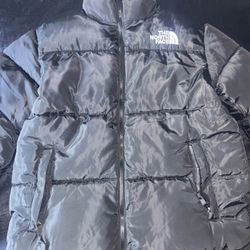 North Face 700 Puffer Size Large Brand New !!
