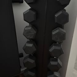 5 - 40 Lb Dumbbells 