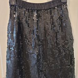 Silk Sequin Skirt