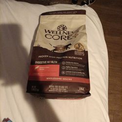 Cat Food Wellness Core Salmon And Rice