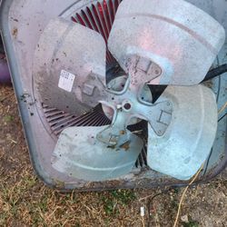 Ac Fan