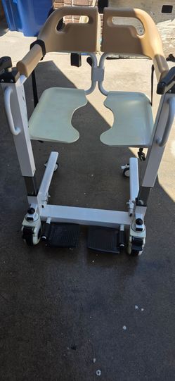 Toilet and shower chair