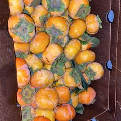 Fuyu Persimmons 