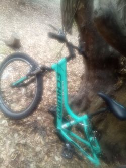 Used mountain 🚲