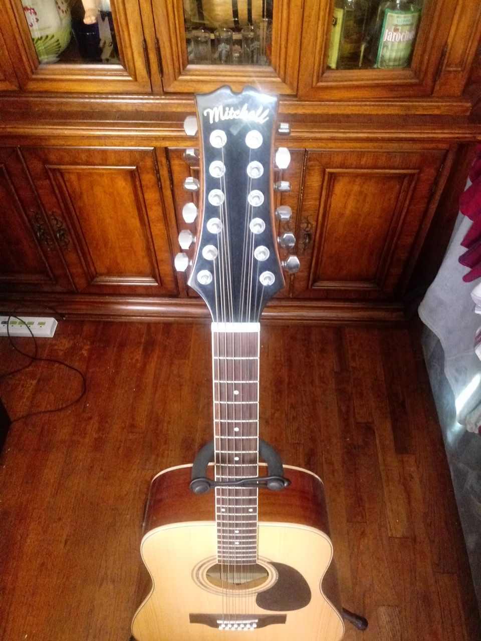 Mitchell 12 string