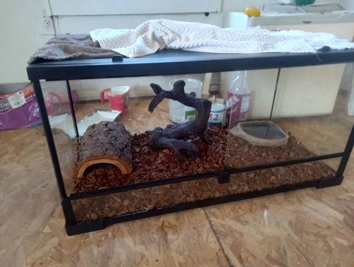 Snake Aquarium