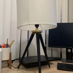 Mid-Century Light 