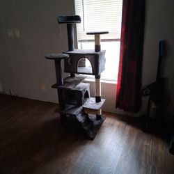 My Cats Hate It 