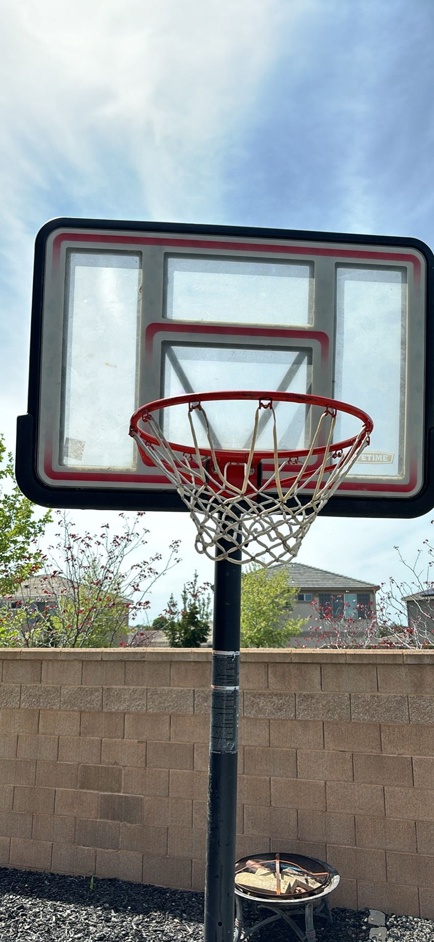 Lifetime Basketball Hoop