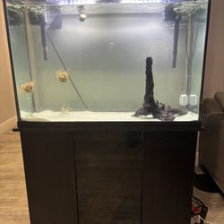 45 gallon fish tank & stand + everything included
