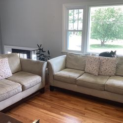 Sofa And Loveseat With Pillows