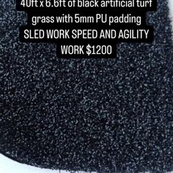 Artificial Turf Grass