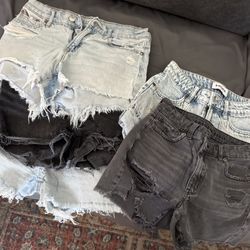5 Pair Of Shorts 