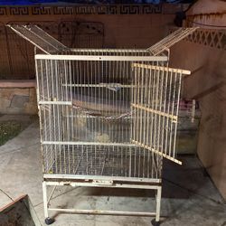 Birdcage 
