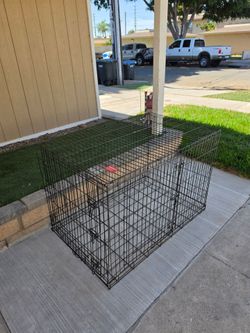 Large Black Wire Dog Crate