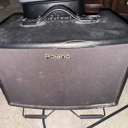 Roland AC-60 Acoustic Chorus Amp – Dual Channel
