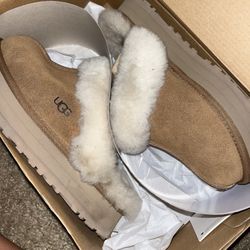 Women’s Uggs 