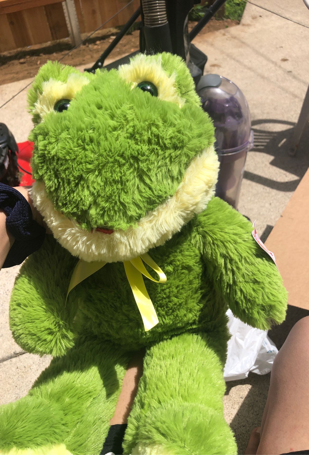 Frog stuffed animal