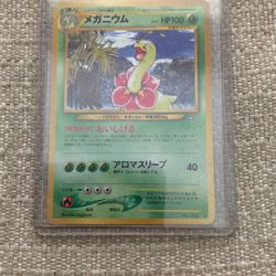 Japanese Meganium Holo .