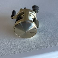 Shimano Calcutter Fishing Reel