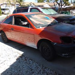 Free come pick up now