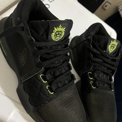 Nike basketball LBJ Vlll   Size 9.5