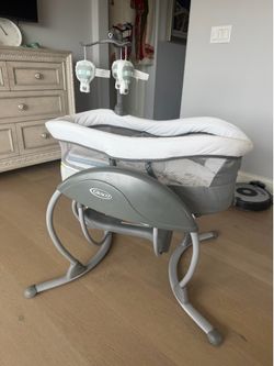 Graco Duoglider Gliding Swing, Rascal