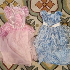 Princess Dresses