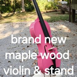Brand New Violin 