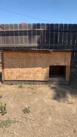 2 doghouse