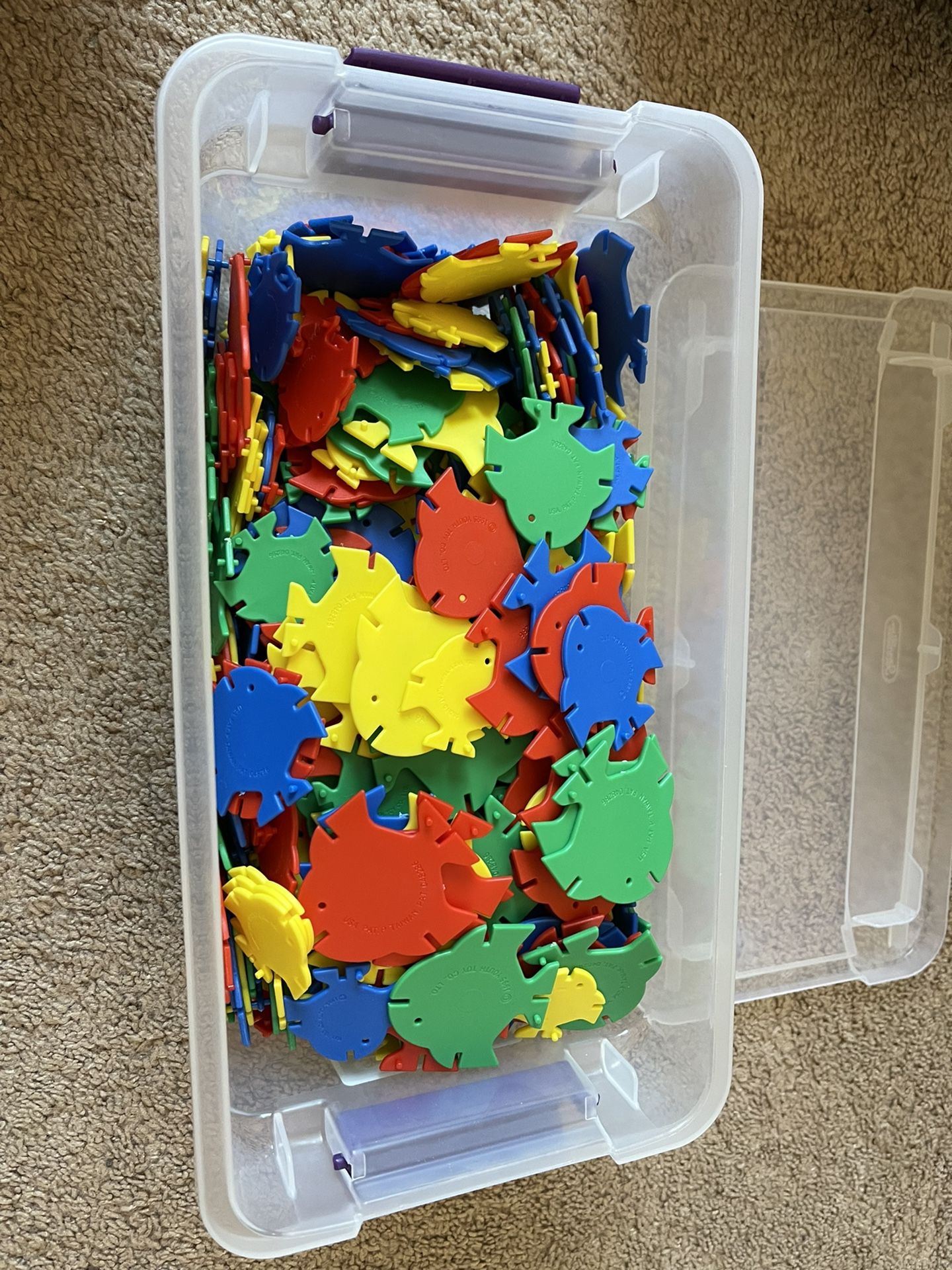 Puzzle Pieces