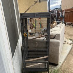 Metal Bird Cage