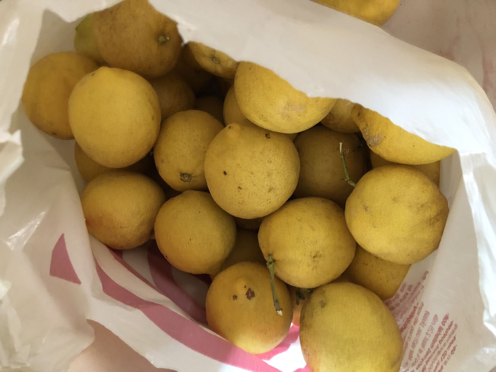 10 lb Bag Of Medium To Large Fresh Lemons