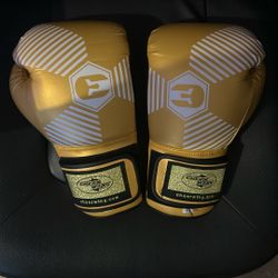 16 Oz Boxing Gloves