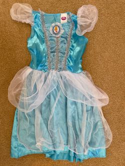 Cinderella Costume