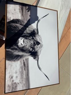 Frames / pictures