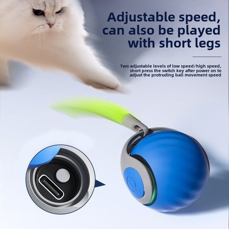 Pet Gtavity Pop-up ball