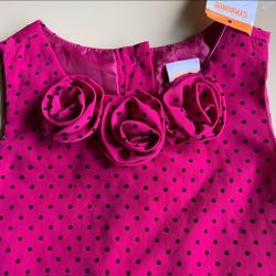 Nwt Gymboree 5t Dress Hot Pink Roses And Polka Dots