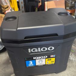 Igloo 30 Quarts Cooler