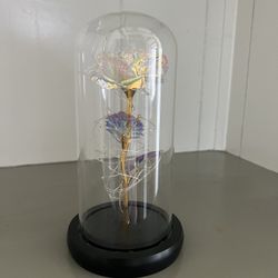 Glass Rose Lights Up! Nice as a gift