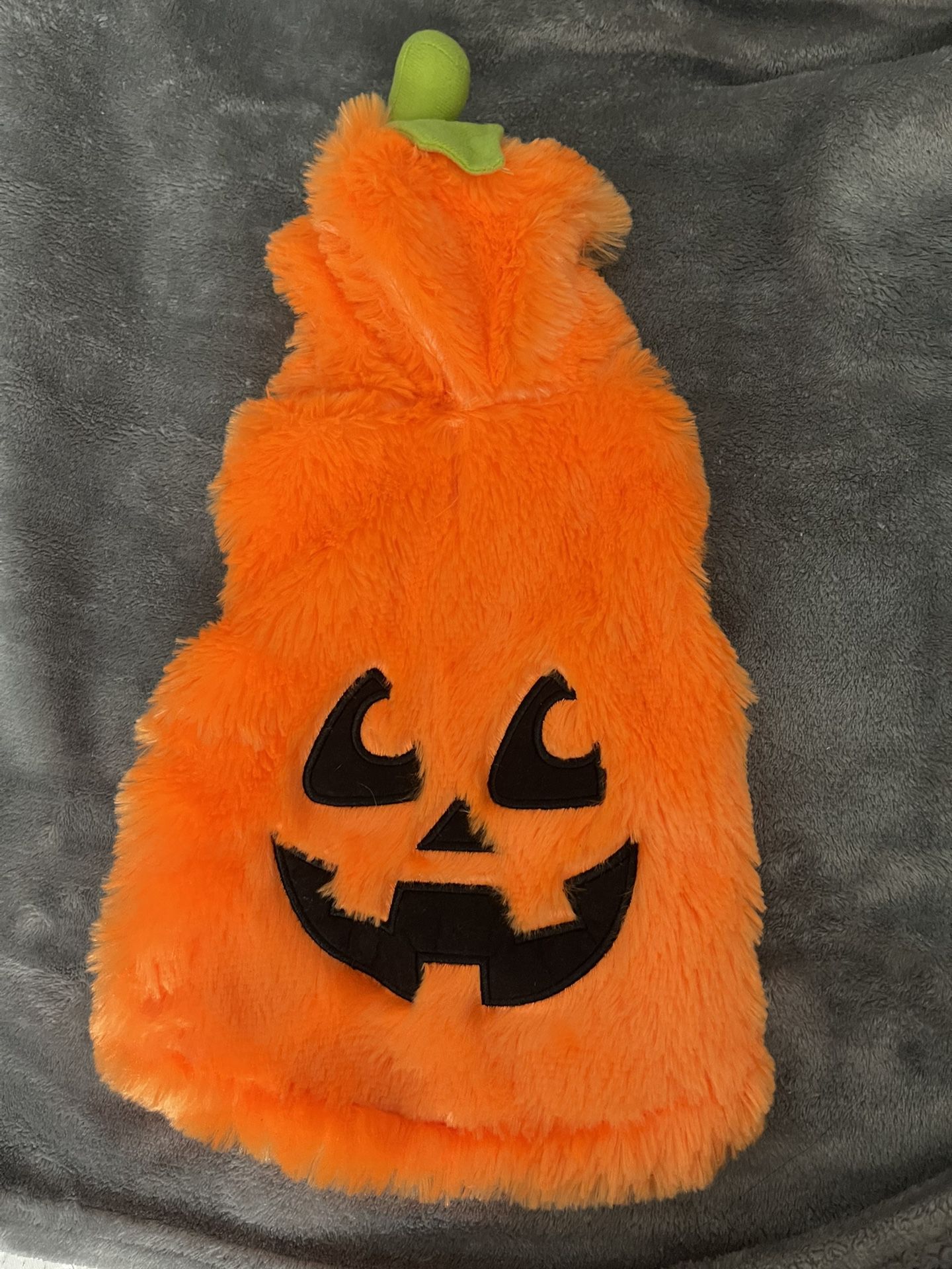 Puppy Pumpkin Halloween Costume
