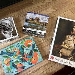 1000 Piece Puzzles