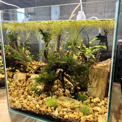 Aquarium/terrarium The Edge