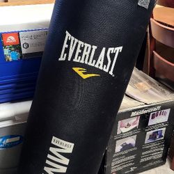 Everlast Elite Heavy Punching Bag