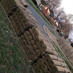 fresh sod cut every morning 