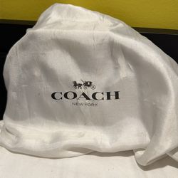 Coach mini purse
