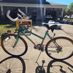 Roadmaster Bike