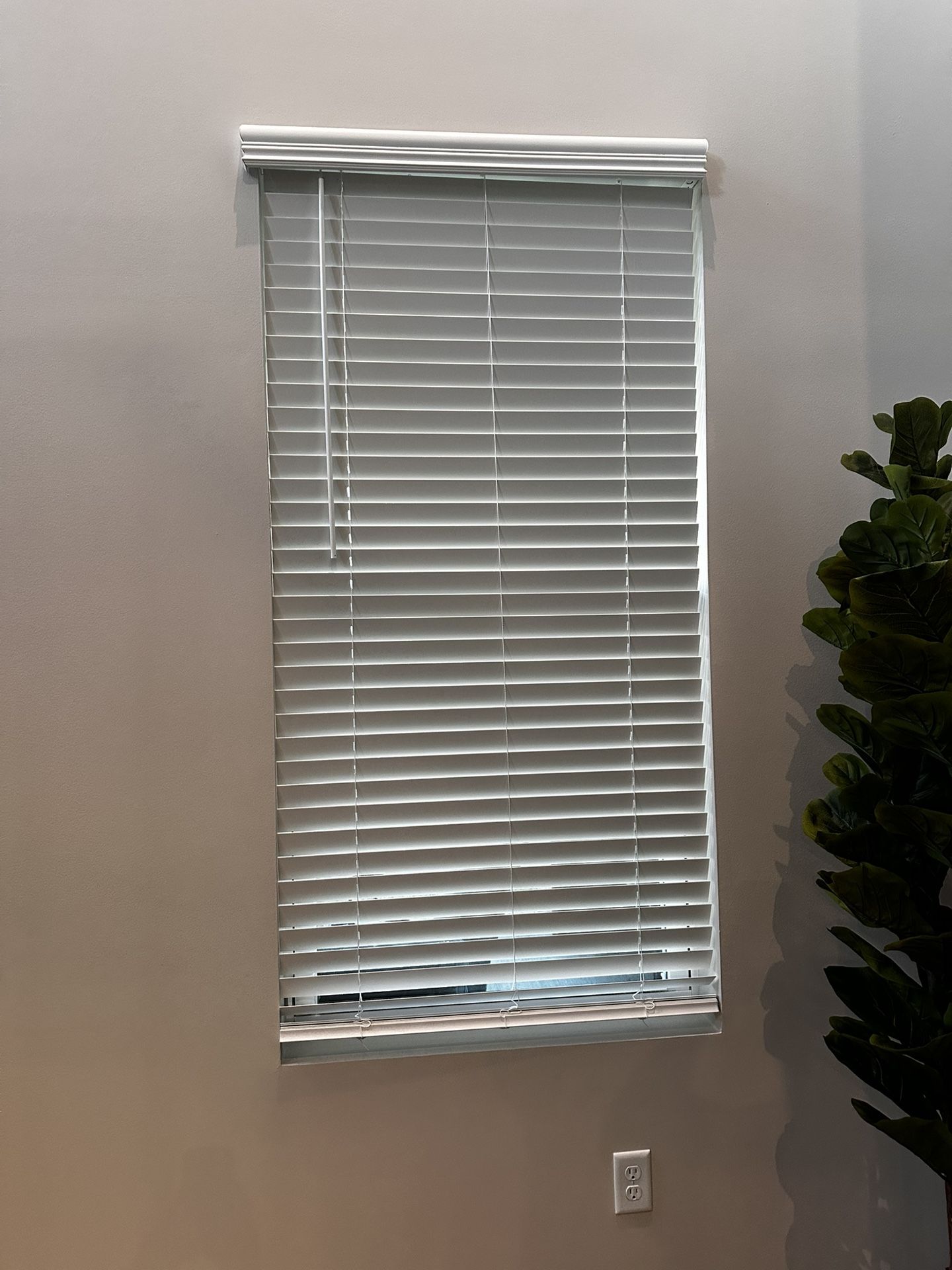 Vinyl Wood Slat Blinds 