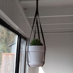 3 Hanging Plant Holders