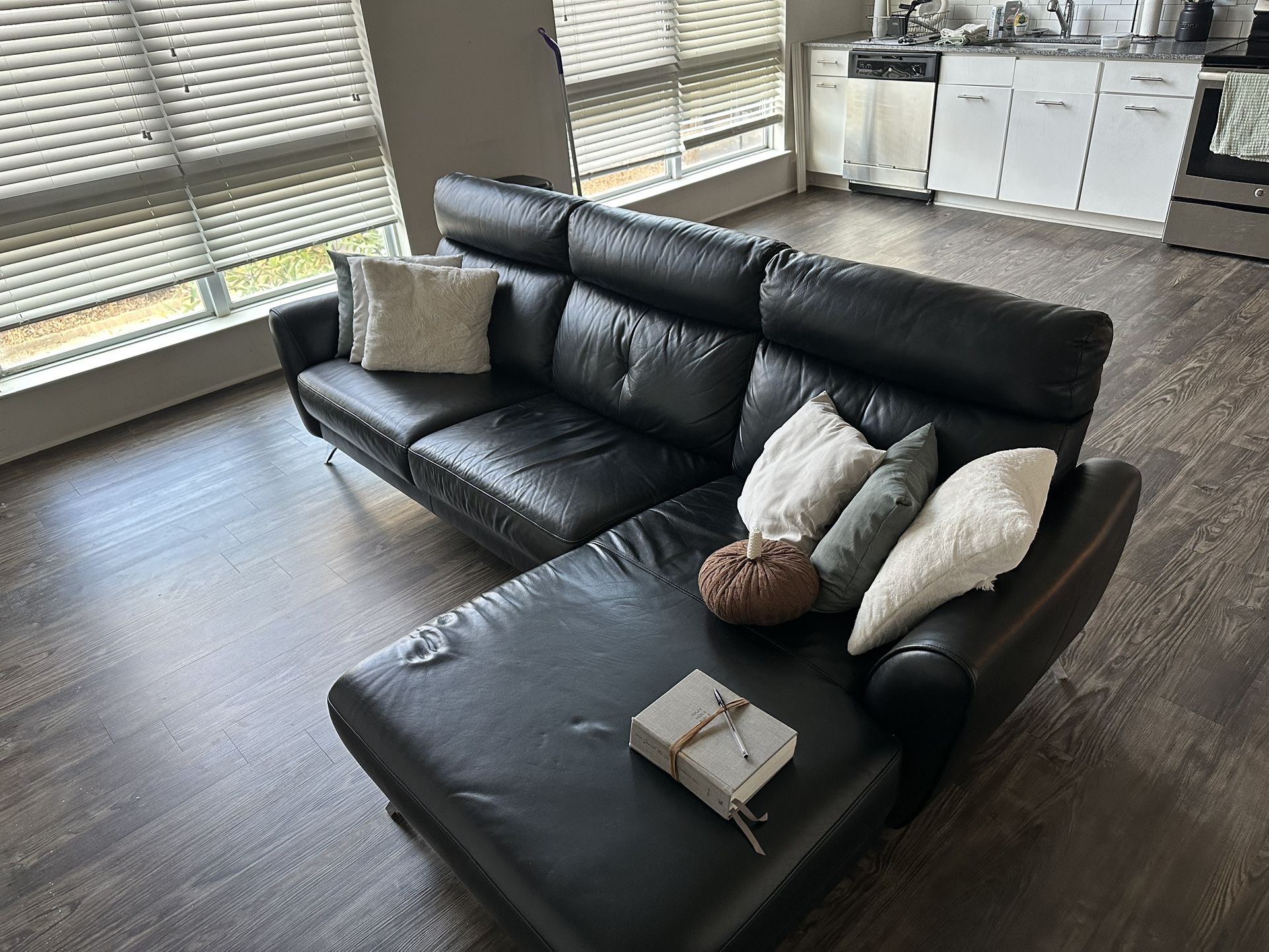 Sectional Couch